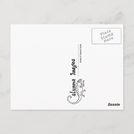 Anemonvis briefkaart (Achterkant)