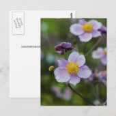 Anemoon Briefkaart (Voorkant / Achterkant)