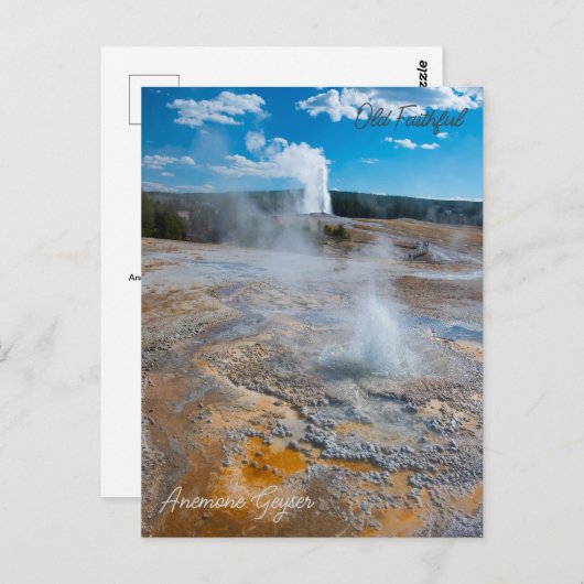 Anemoon en oude trouwe geisers uitbarsten briefkaart (Voorkant / Achterkant)