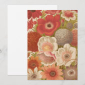 anemoon | George Nicholson (Voorkant / Achterkant)