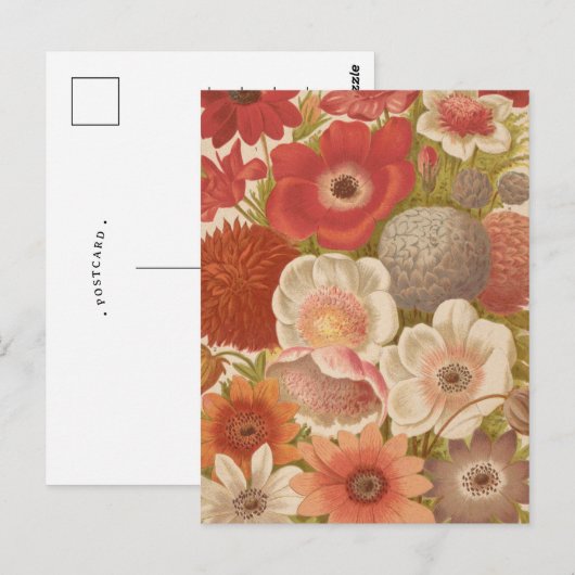 anemoon | George Nicholson Briefkaart (Voorkant / Achterkant)