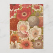 anemoon | George Nicholson Briefkaart (Voorkant)