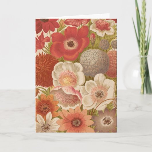 anemoon | George Nicholson Kaart (Voorkant)