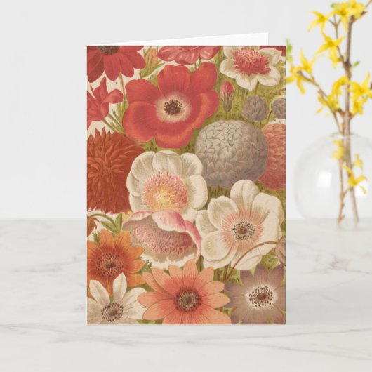 anemoon | George Nicholson Kaart (Gele Bloem)