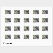 Anemoon, met piekende clownvis ronde sticker (Vel)