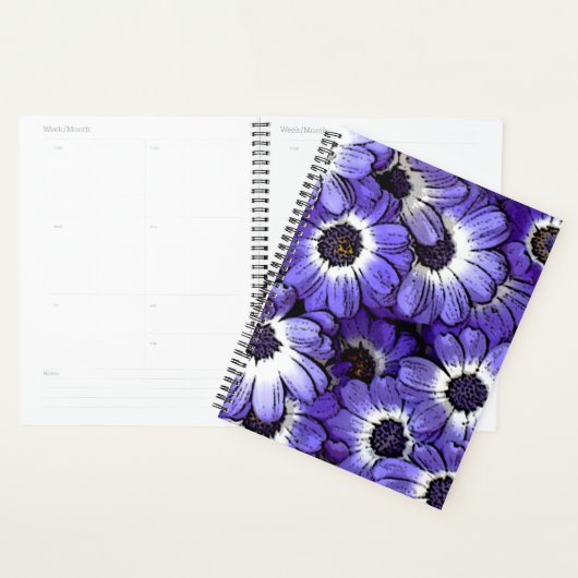 Anemoon Planner (Display)
