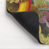 Anemoon van Vintage Haeckel Muismat (Hoek)