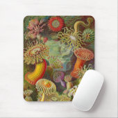 Anemoon van Vintage Haeckel Muismat (Met muis)