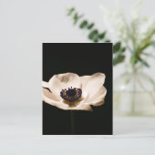 Anemoonbloem Briefkaart (Staand voorkant)
