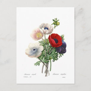 Anemosie Briefkaart