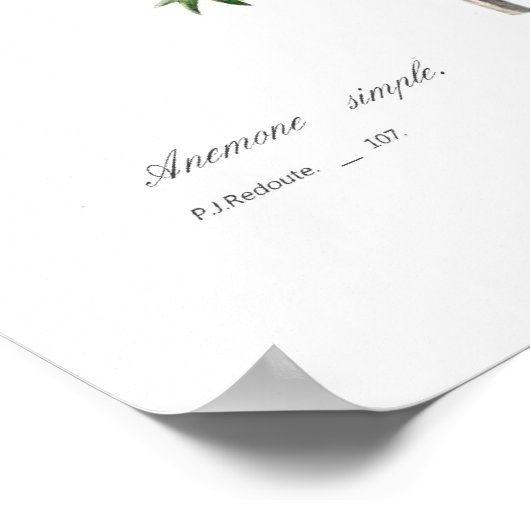 Anemosie Poster (Hoek)