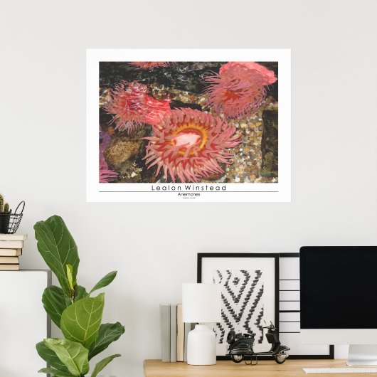 Anenomes Poster (Thuiskantoor)