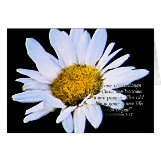 Anewlife hasStartZazzle