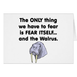Angar Itself Walrus