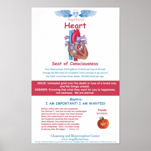 Angel Boerderijen Heart Chart Poster (Voorkant)