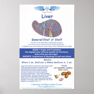 Angel Boerderijen Liver Chart Poster