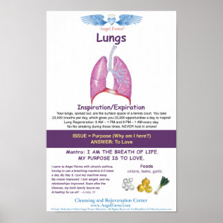 Angel Boerderijen Lung Chart Poster