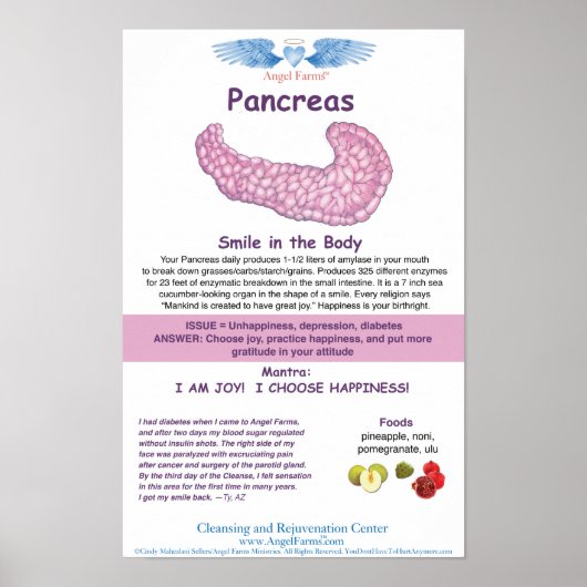 Angel Boerderijen Pancreas Grafiek Poster (Voorkant)