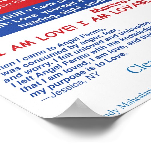 Angel Boerderijen Spleen Chart Poster (Hoek)