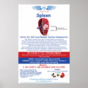Angel Boerderijen Spleen Chart Poster