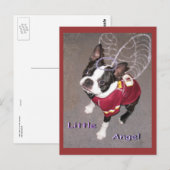 Angel Boston Terrior Briefkaart (Voorkant / Achterkant)