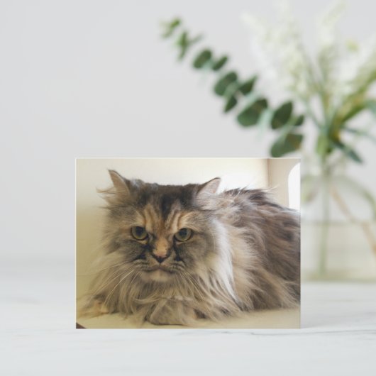 Angel Briefkaart (Staand voorkant)