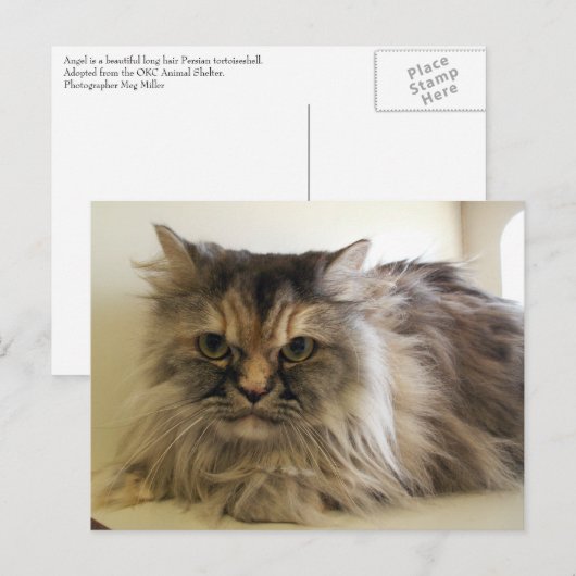 Angel Briefkaart (Voorkant / Achterkant)