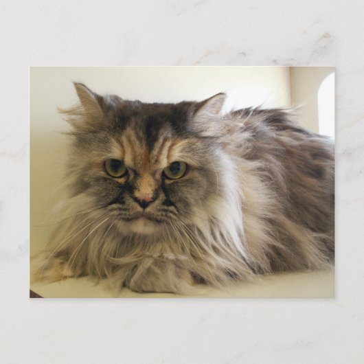 Angel Briefkaart (Voorkant)