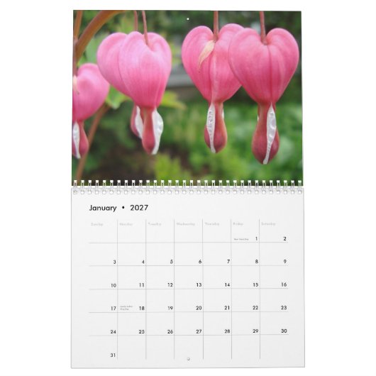 Angel Calendar Kalender (Jan 2027)
