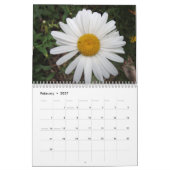Angel Calendar Kalender (Feb 2027)
