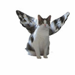 Angel Cat Fotobeeldje Sleutelhanger<br><div class="desc">Het bewijs dat engelen bij ons zijn met deze engel kat sleutelketen. Niemand zal je geloven.</div>