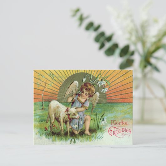 Angel Cherub Sun Lamb Schaap Briefkaart (Staand voorkant)