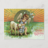 Angel Cherub Sun Lamb Schaap Briefkaart (Voorkant)