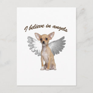 Angel Chihuahua Briefkaart