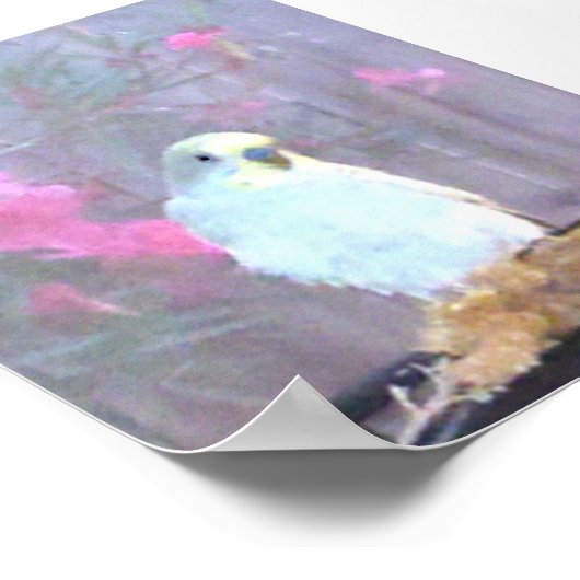 Angel de Budgie Poster (Hoek)