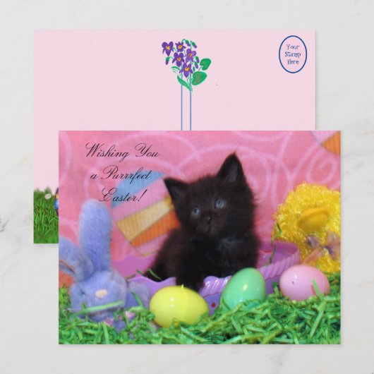 Angel de kitten's paaswensen briefkaart (Voorkant / Achterkant)