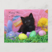 Angel de kitten's paaswensen briefkaart (Voorkant)