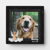 Angel Dog Golden Pet Memorial Fotoplaat (Voorkant)