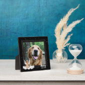 Angel Dog Golden Pet Memorial Fotoplaat (Insitu)