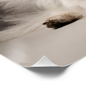 Angel Dog Perfect Poster (Hoek)