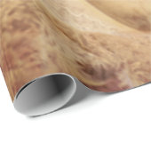 Angel Elegant Ggloing Brown Sepia Floral Antiek Cadeaupapier (Rol Hoek)