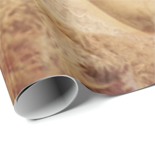 Angel Elegant Ggloing Brown Sepia Floral Antiek Cadeaupapier (Rol Hoek)