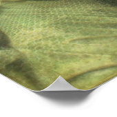 Angel en Textures Poster (Hoek)