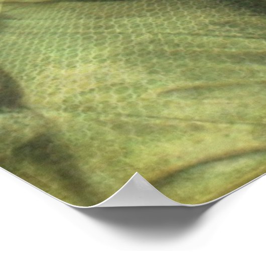 Angel en Textures Poster (Hoek)