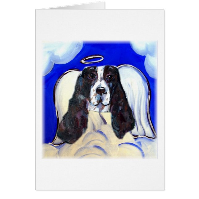 Angel English Springer Spaniel (Voorkant)