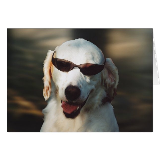 Angel Eyes (Voorkant Horizontaal)