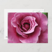 Angel Face II-Briefkaart Briefkaart (Voorkant / Achterkant)