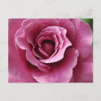 Angel Face II-Briefkaart Briefkaart