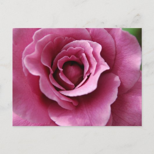 Angel Face II-Briefkaart Briefkaart (Voorkant)