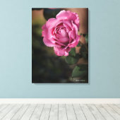 Angel Face Roos Canvas Afdruk (Insitu (Houten vloer))